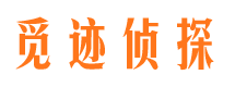 乐安市调查公司